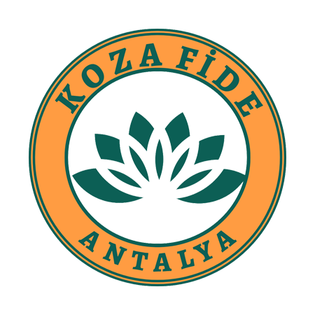 Koza Fide