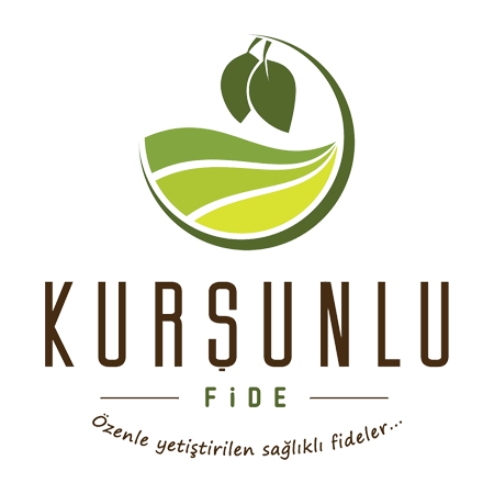 Kurşunlu Fide