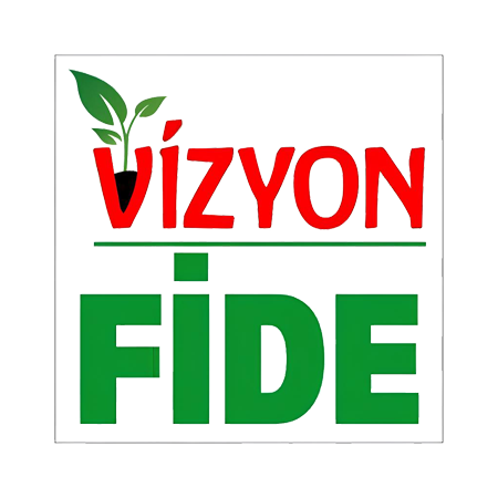 Vizyon Fide